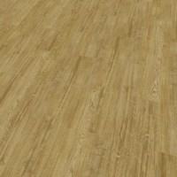 43212 Mirror Oak